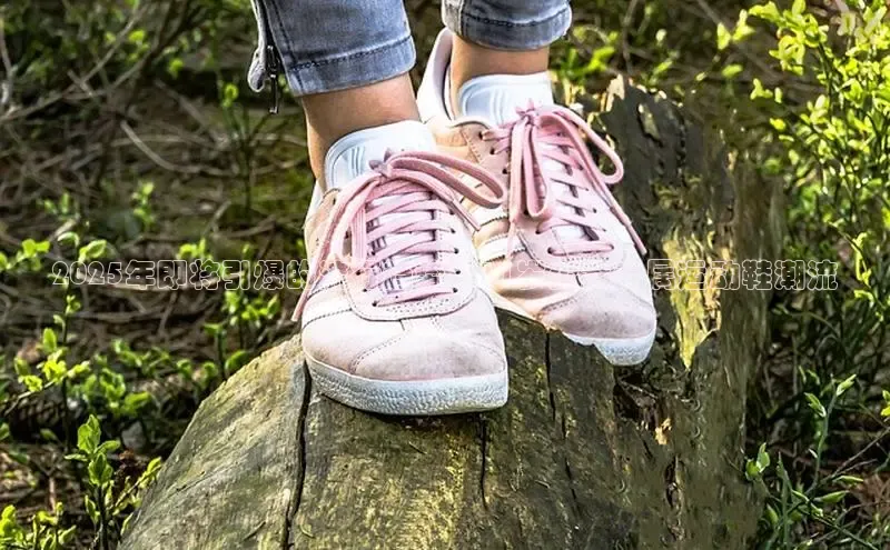 熊猫体育免费直播